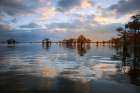 Bald cypress trees silhouetted at sunset, Caddo Lake, Texas. Worlds largest bald cypress forest. Art Print